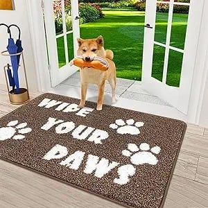Pretty dog Paw x Paw carpet
