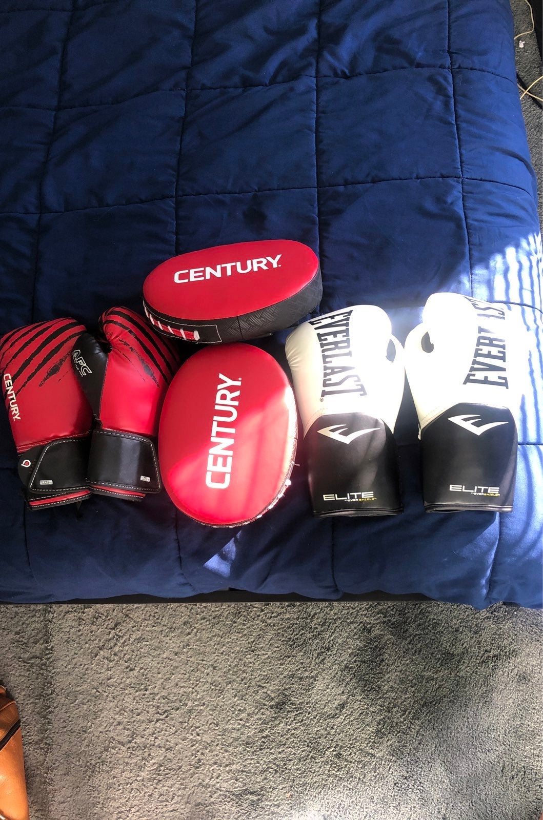 Boxing gloves and shadow boxing pads
