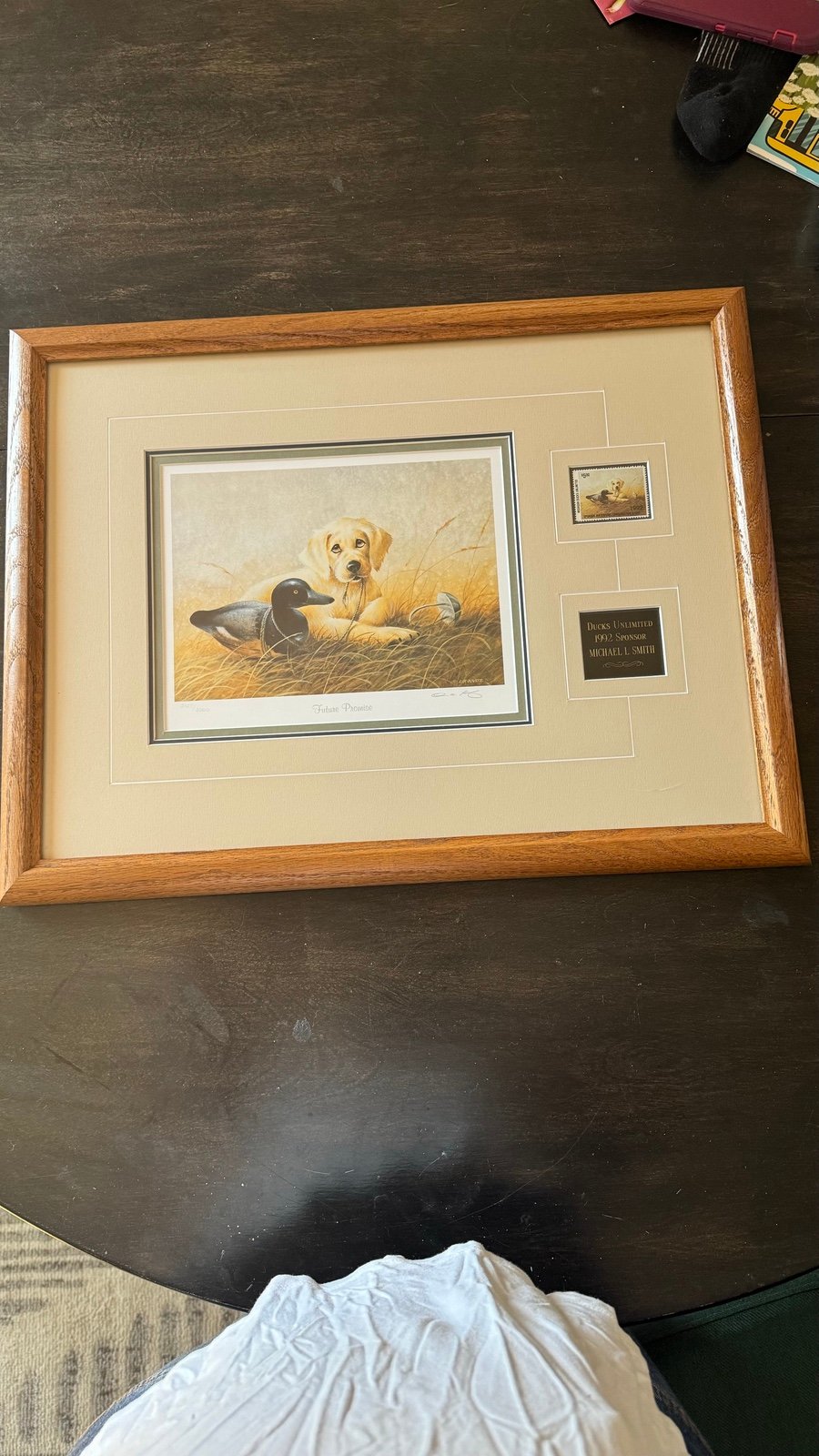 Ducks Unlimited Future Promise Print 1992