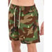 NWT Polo Ralph Lauren Swim Trunks