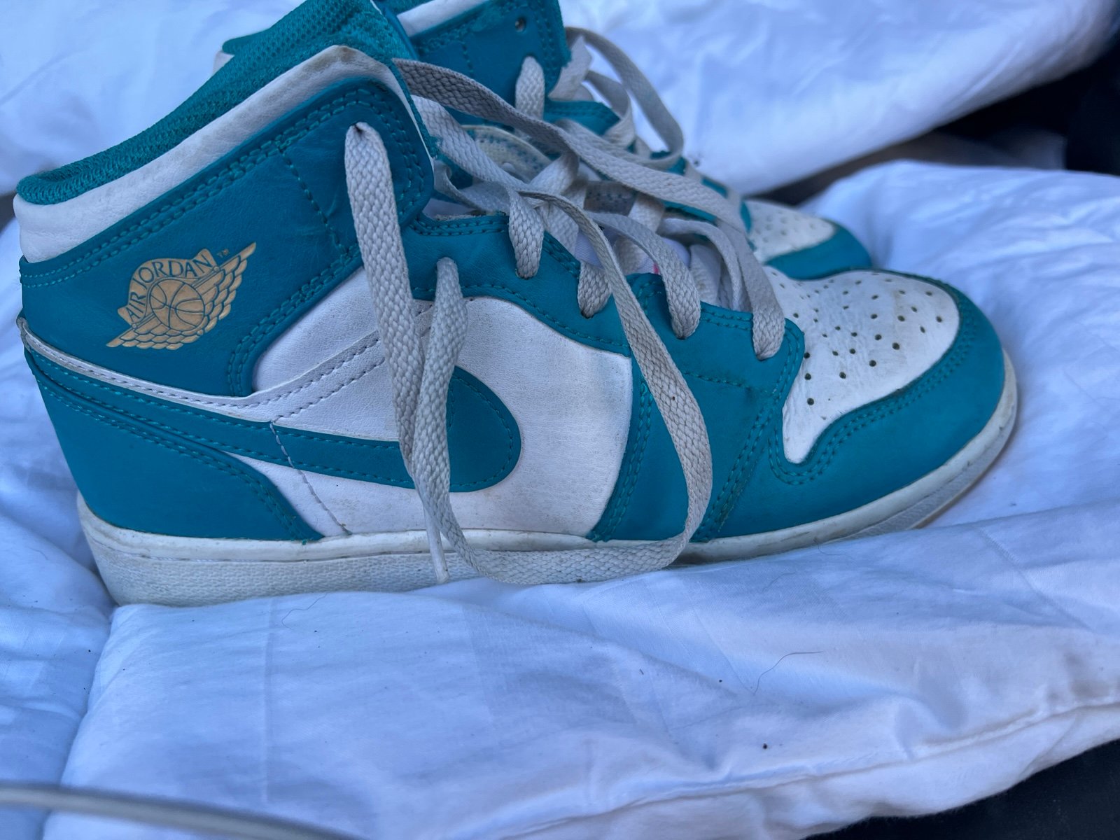 Nike air Jordan teal kids shoes