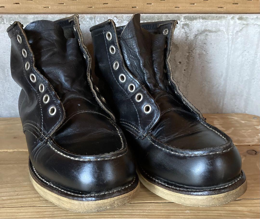 Red Wing Irish Setter with a feather tag