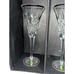 Waterford Crystal Listers Pops Toasting Flutes - Set of 2 (40023071)