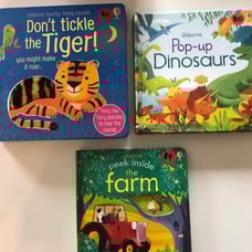 Usborne Book Lot