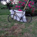 Novara buzz road bike 18 speed