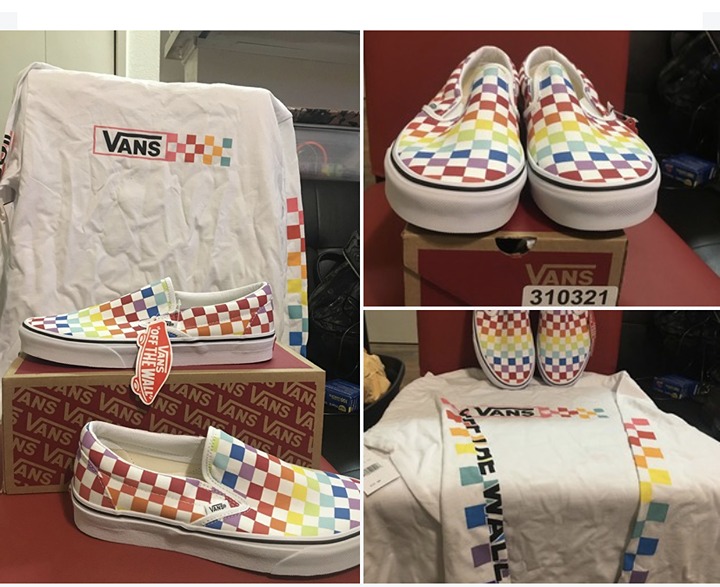 VANS Authentic Canvas Skate Shoes