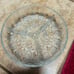 Vintage Divided Relish Dish Metal with Glass Dish Insert