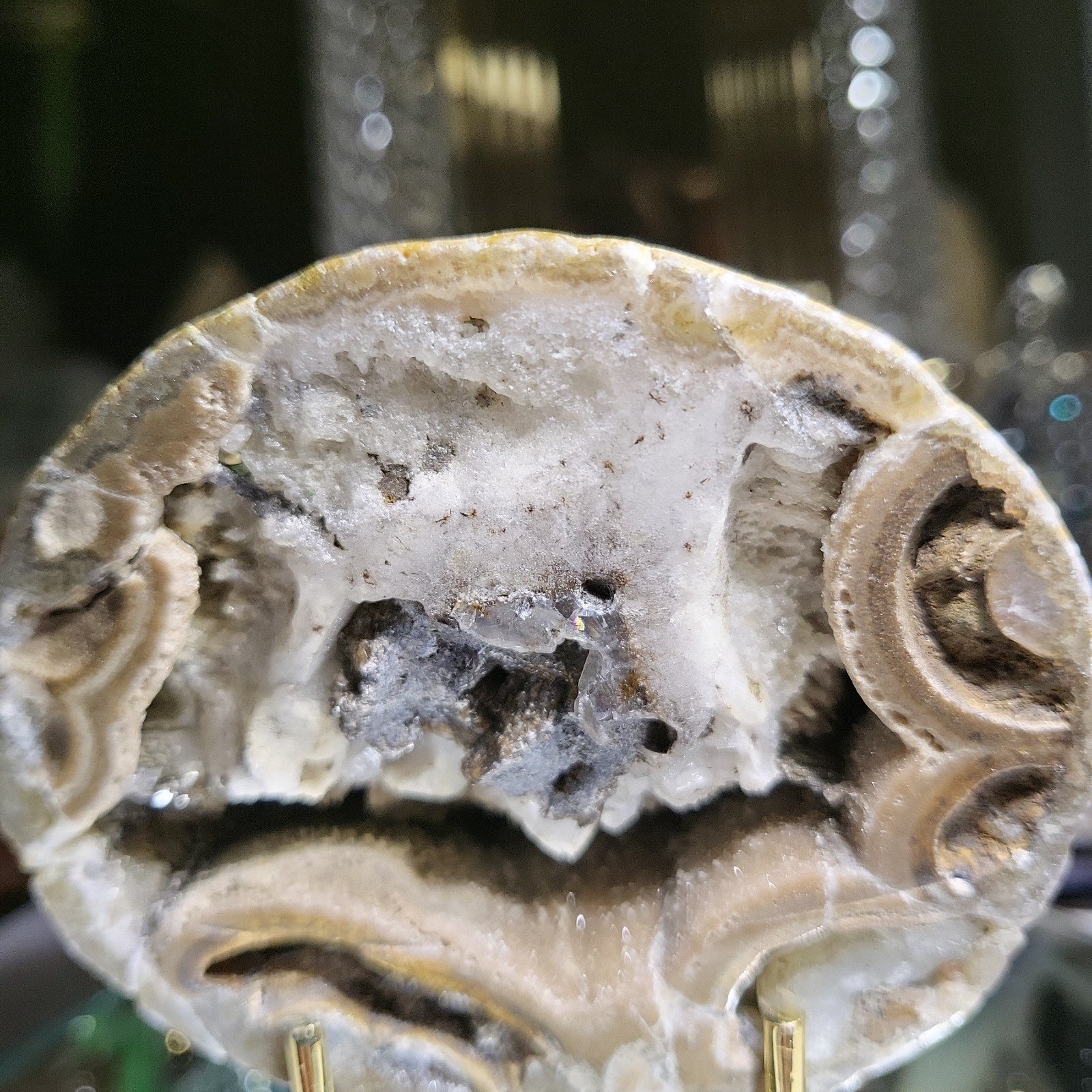 Morocco Agate Geode 3476 with calcite