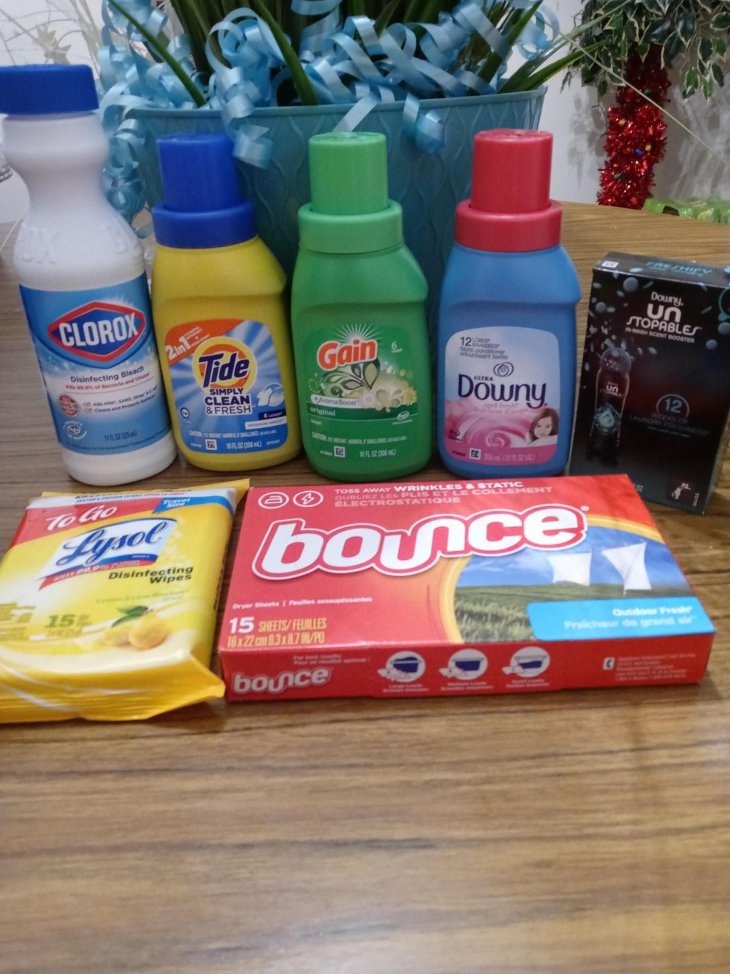 Travel Size Household Laundry Bundle