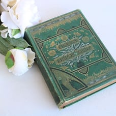 Vintage Antique 1880s Book, Gems of Deportment by Mrs. M. L. Rayne, Victorian