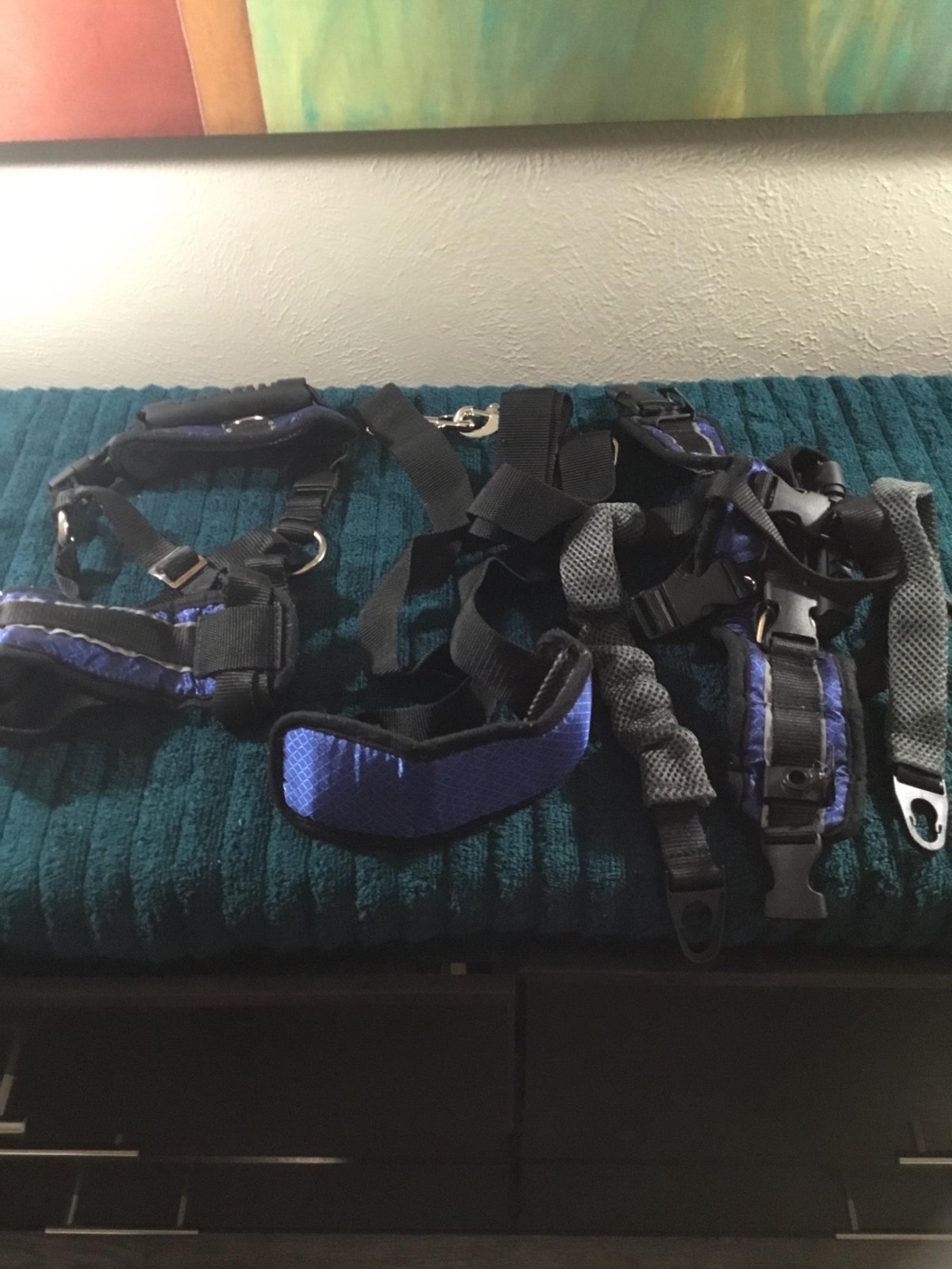 CARELIFT FULL-BODY  LIFTING HARNESS FOR LARGE PETS 70-130 LBS