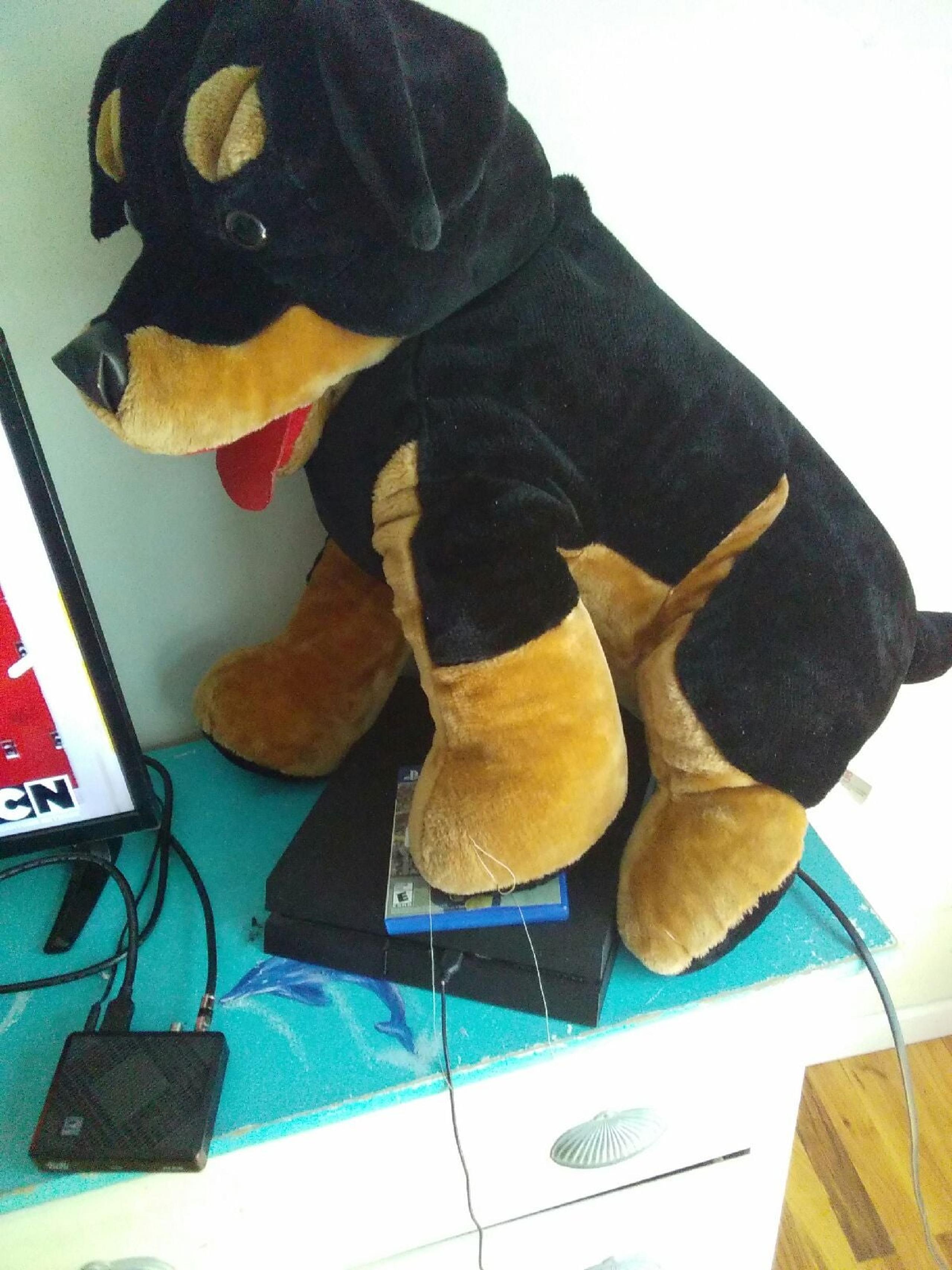 I big stuff animal