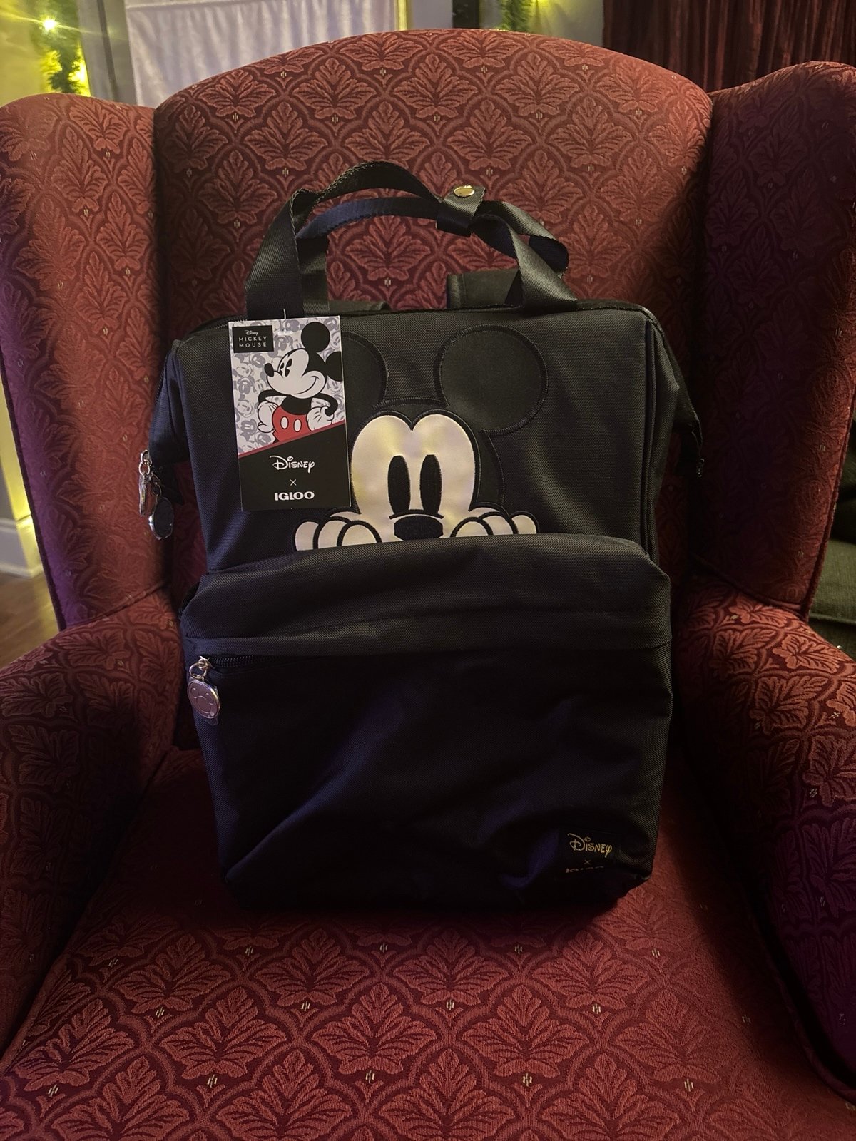 Igloo Mickey Mouse backpack Disney x