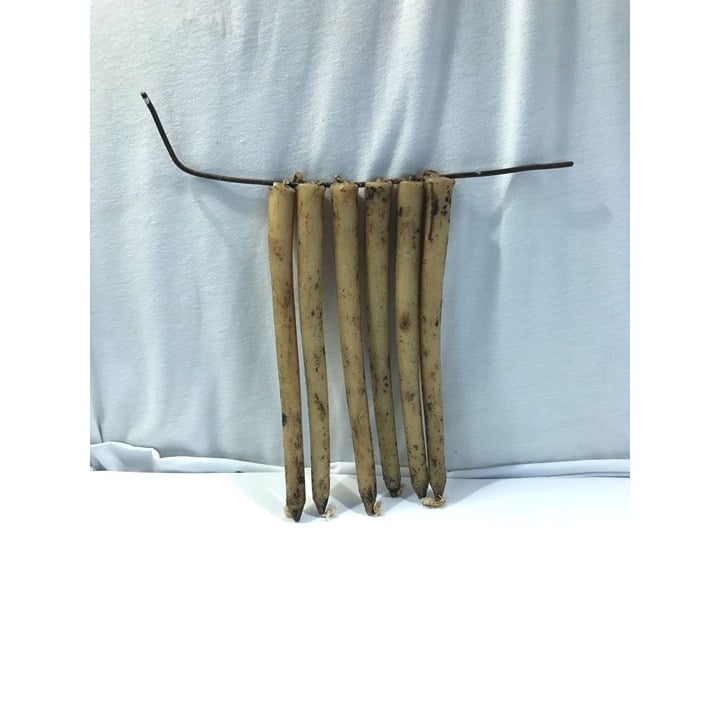 Tallow candles, 1800s style hand dipped candle set of 6, very rare find
