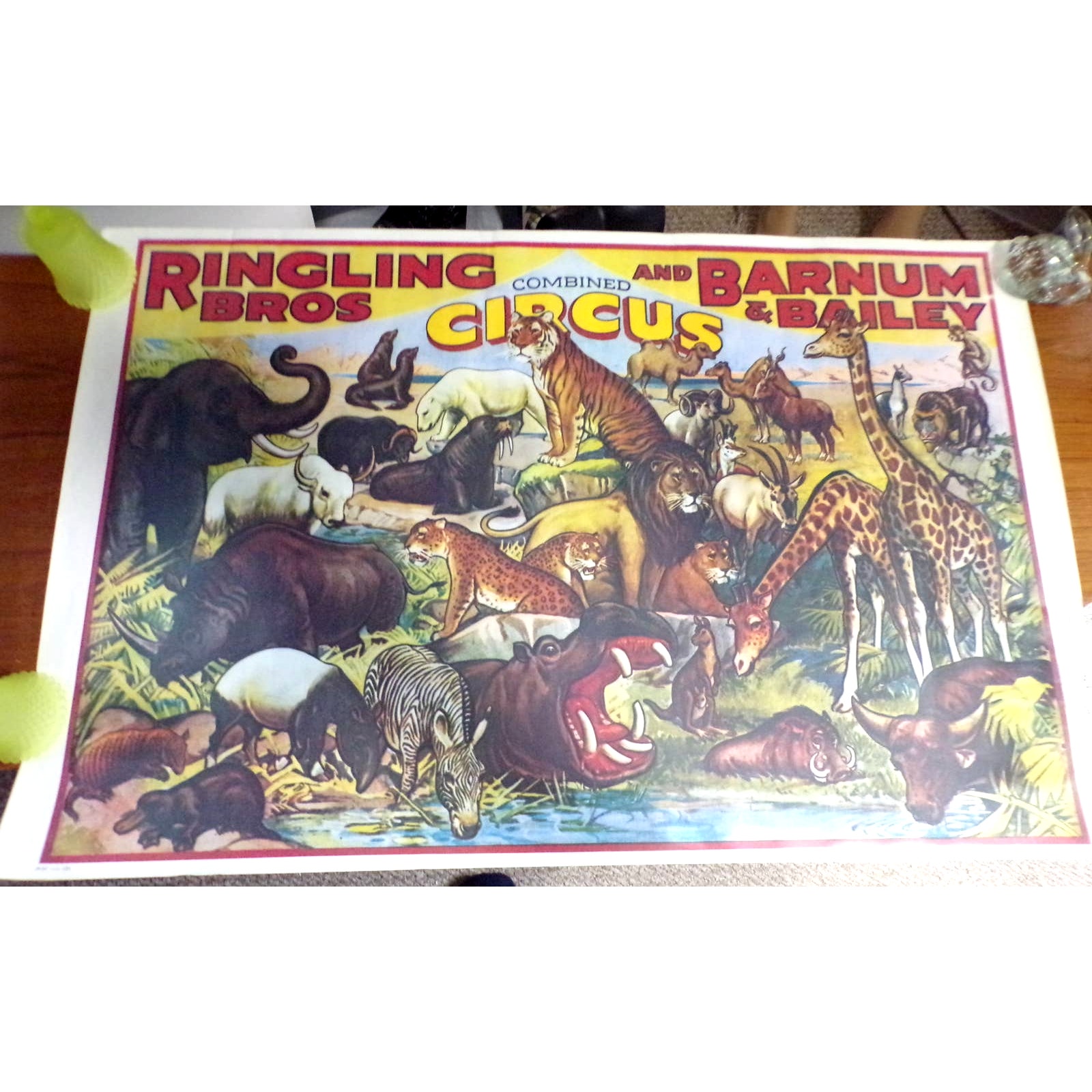 Circus Poster Ringling Bros and Barnum & Bailey 36” Wild Animals 1937 Litho