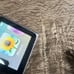 Apple Ipod Nano 6th Generation 8gb