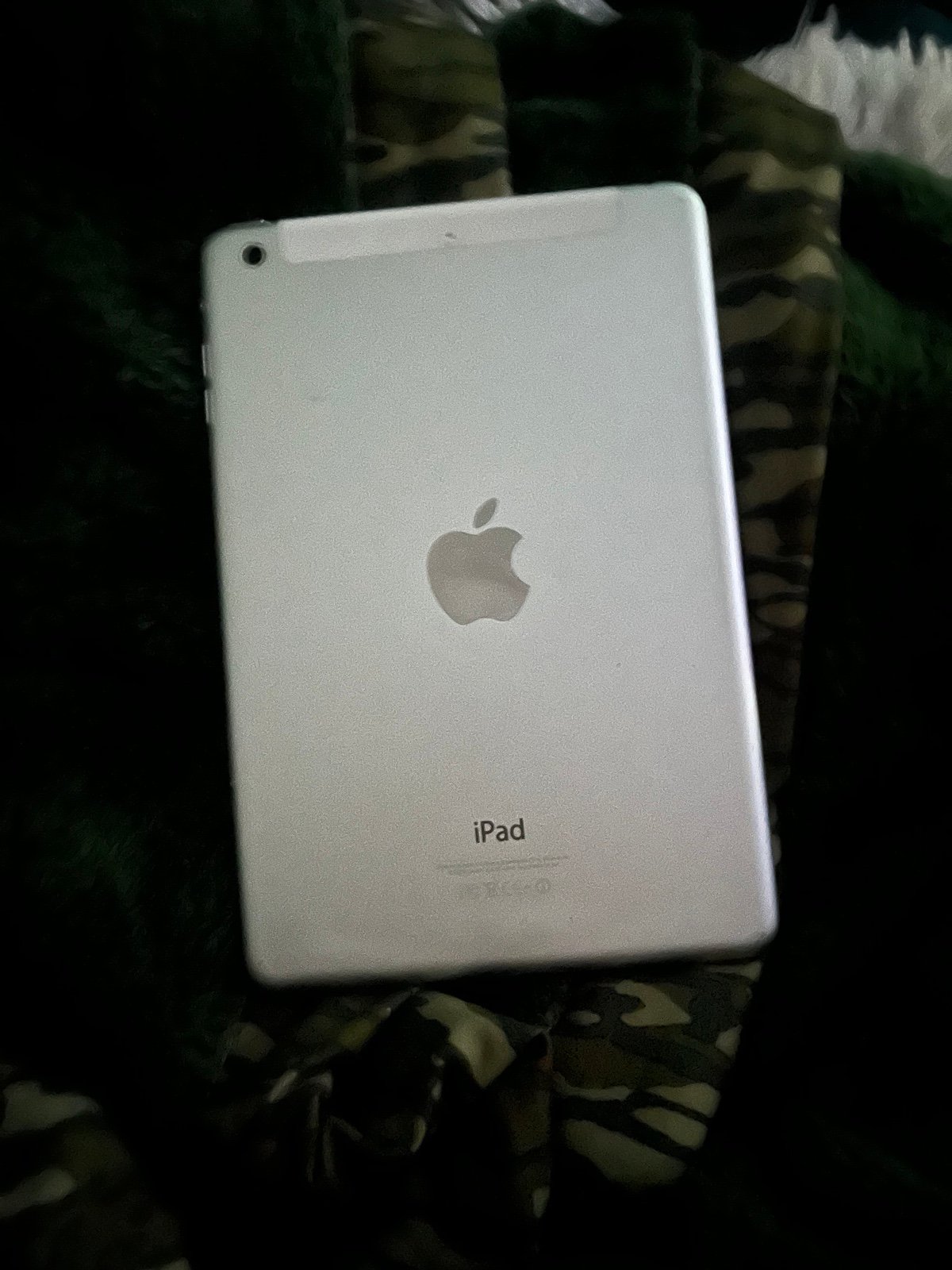 iPad mini