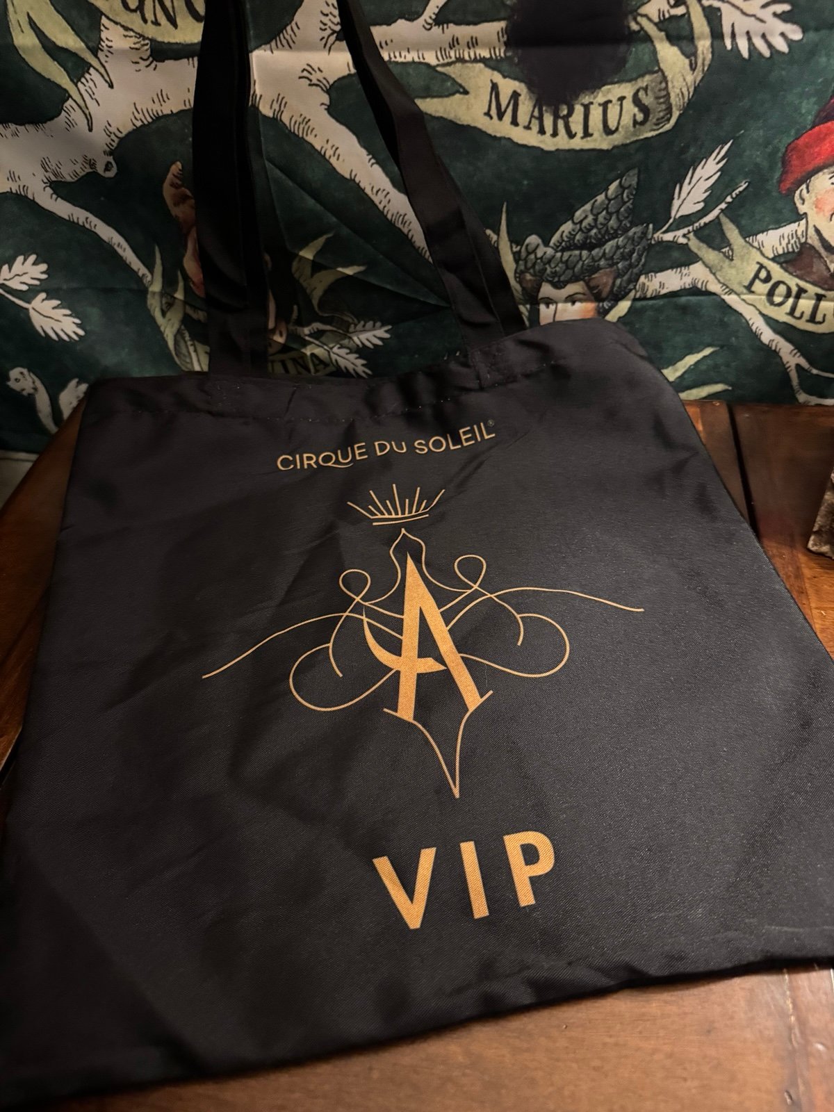 Cirque Du Soleil VIP Tote Bag Gift Rare