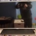 32 inch tv