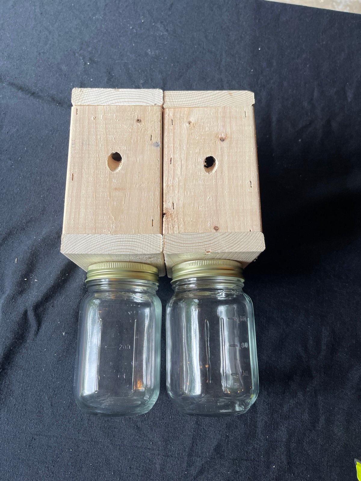 (2) Carpenter bee traps