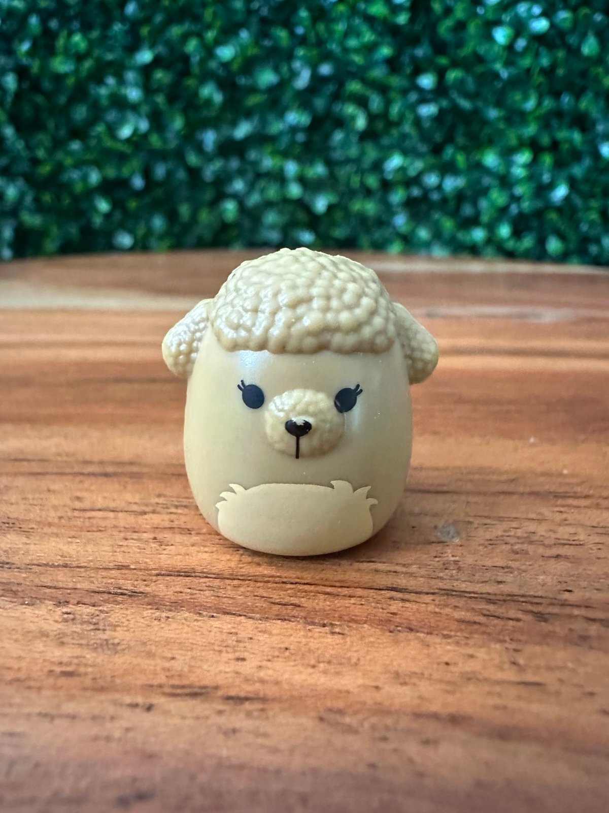 Jacinda the Poodle Squish-a-long by Squishmallows