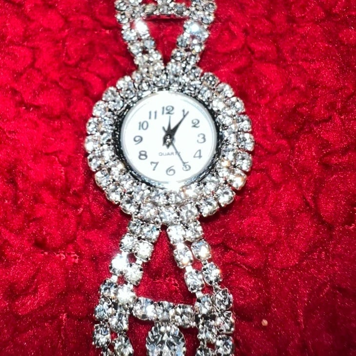 luxury silver iced Watch
