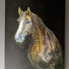 Oil Painting of Horse by Mariella -size 11 x 14 inches