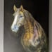 Oil Painting of Horse by Mariella -size 11 x 14 inches