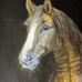 Oil Painting of Horse by Mariella -size 11 x 14 inches