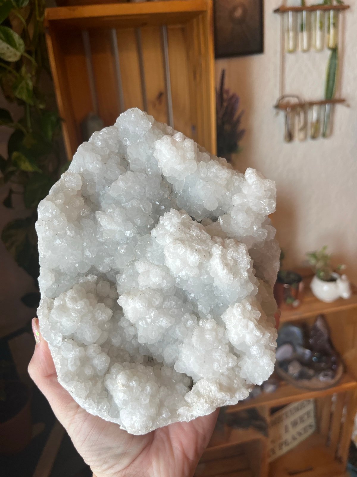 XL white Apophyllite crystal specimen