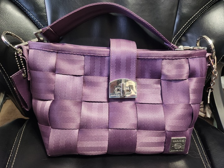 Harveys Carriage Ring Hobo Classic - purple