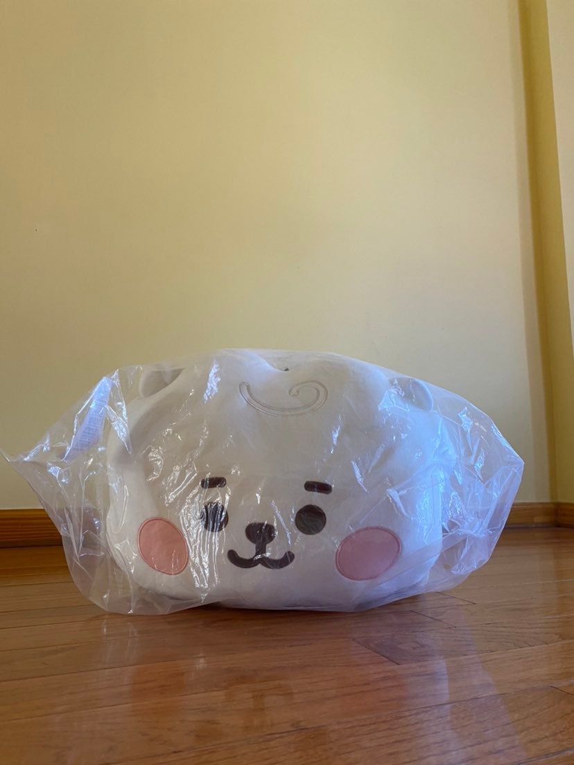 BT21 Super Baby RJ Pillow