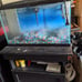 10 gallon fish tank with stand