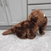 Vintage 18 Tall Applause Sesame Street Snuffleupagus Plush Large