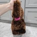 Vintage 18 Tall Applause Sesame Street Snuffleupagus Plush Large