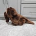 Vintage 18 Tall Applause Sesame Street Snuffleupagus Plush Large