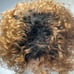 100% HUMAN Short Afro Hair, Black roots to natural lighter shade