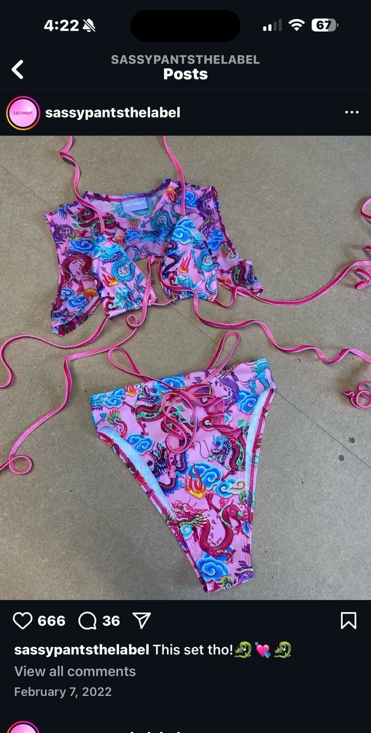 Sassypantsthelabel (Pink dragon bikini set)