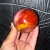Australian Mookaite