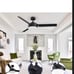 Ceiling Fan with Lights Remote Contro