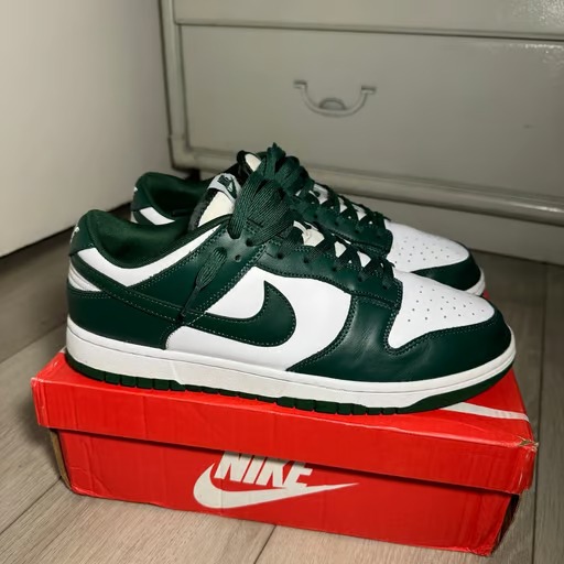 Nike Dunk Low Women's 11
