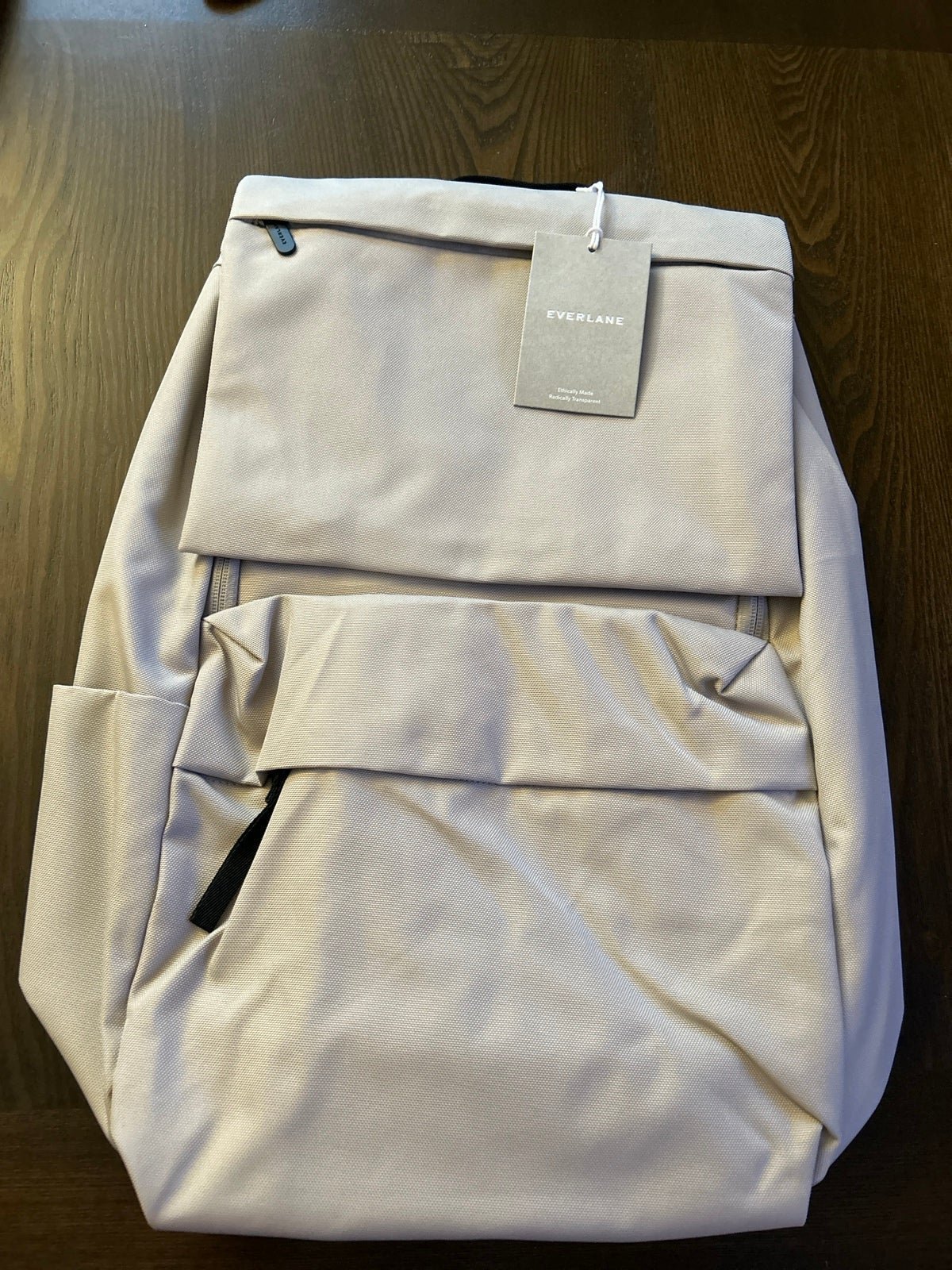 Everlane ReNew Transit Backpack NEW