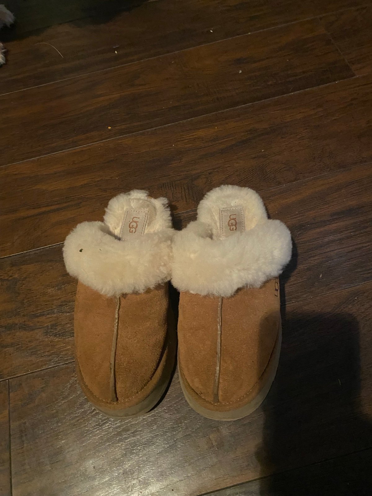 slippers