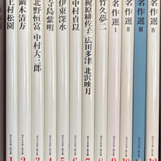 【Rare】 Modern Japanese Beauty Painting Complete Collection, 12 Volumes, Shueisha