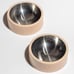 wild one dog bowls