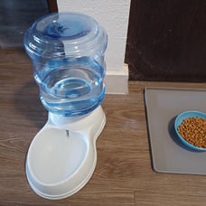 Pet Waterer for Cat, Dog, Small, 1 Gallons Capacity
