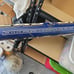 Softballl Bat