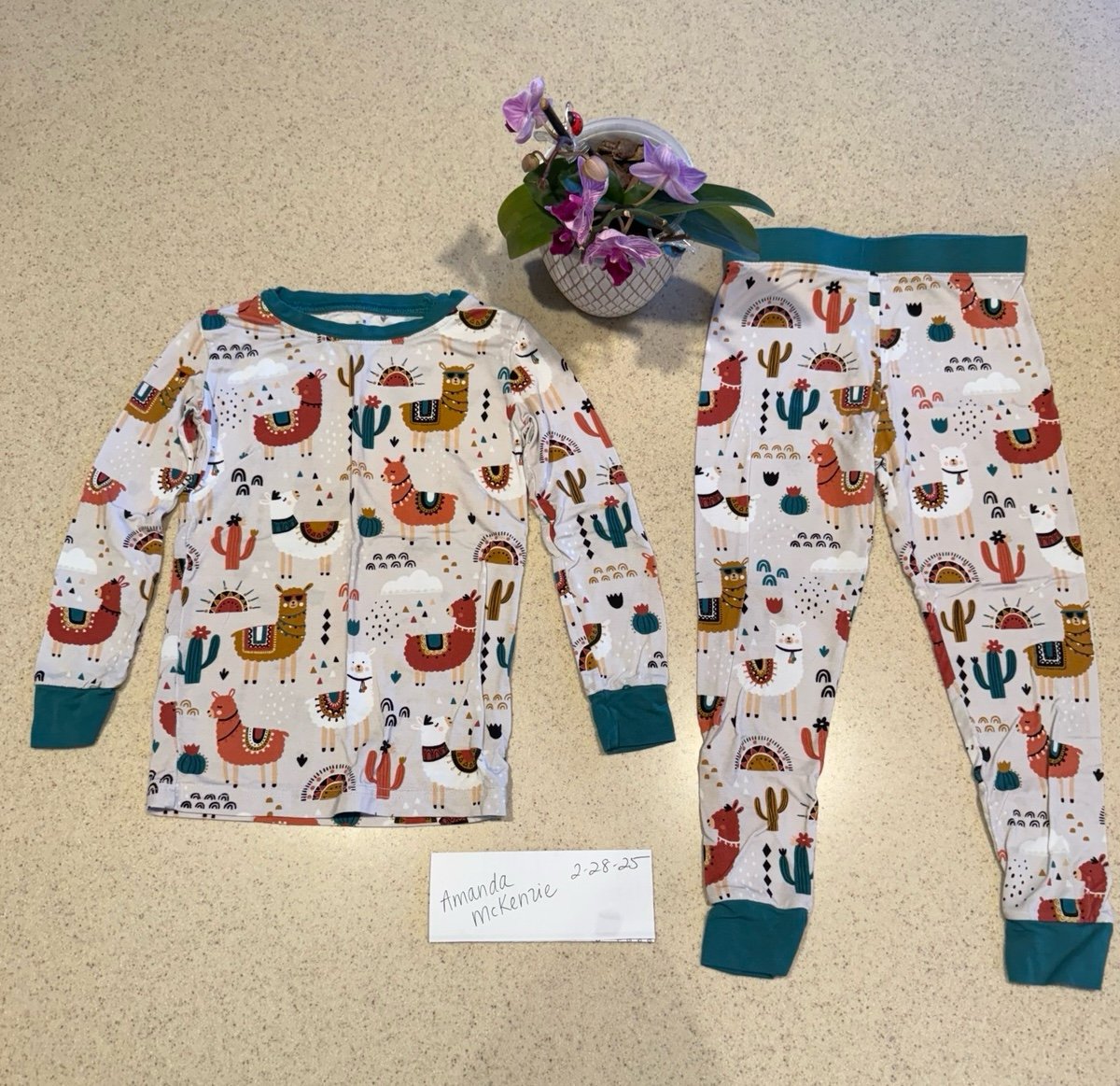 Little Sleepies Two Piece Pajamas; 2T