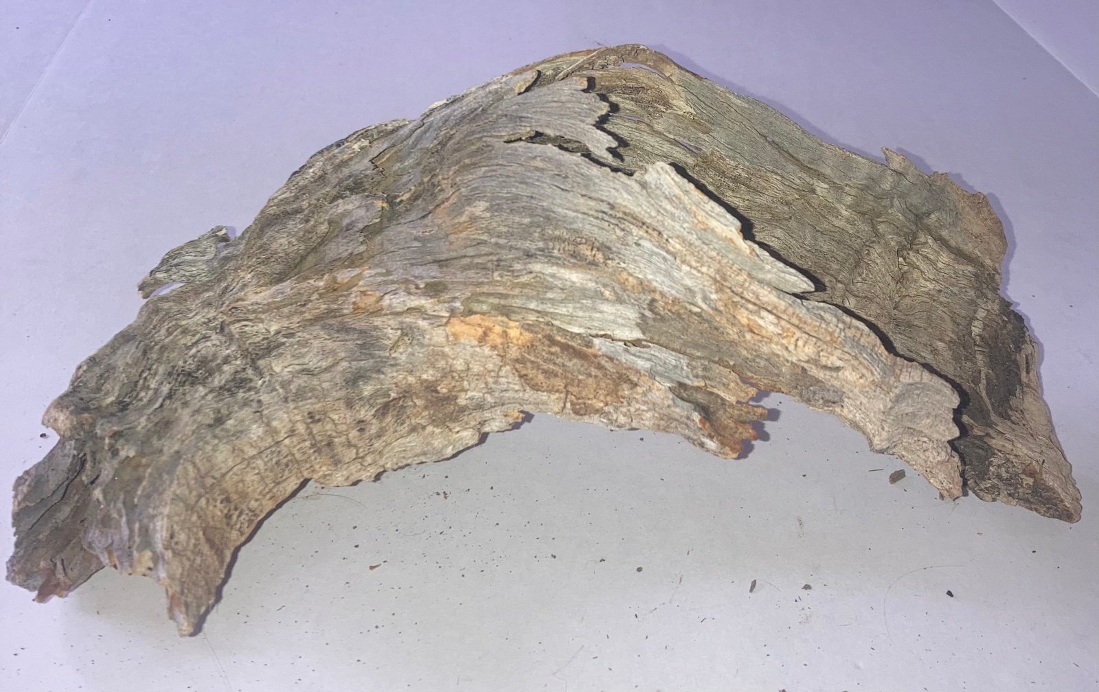 Hollow Cactus Wood Log Driftwood Reptile Hide Pet House