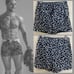 Capelle Swim Trunks Large 32-40 waist 5.5 inseam Nylon blend stretch fabric